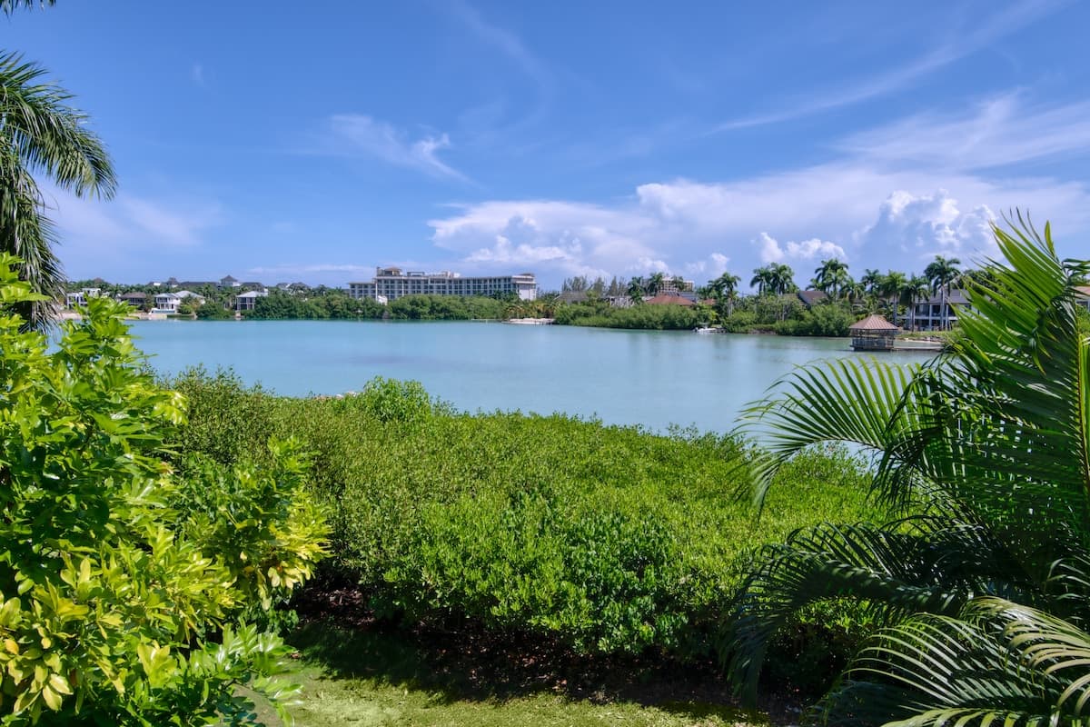 Overlooking the lagoon