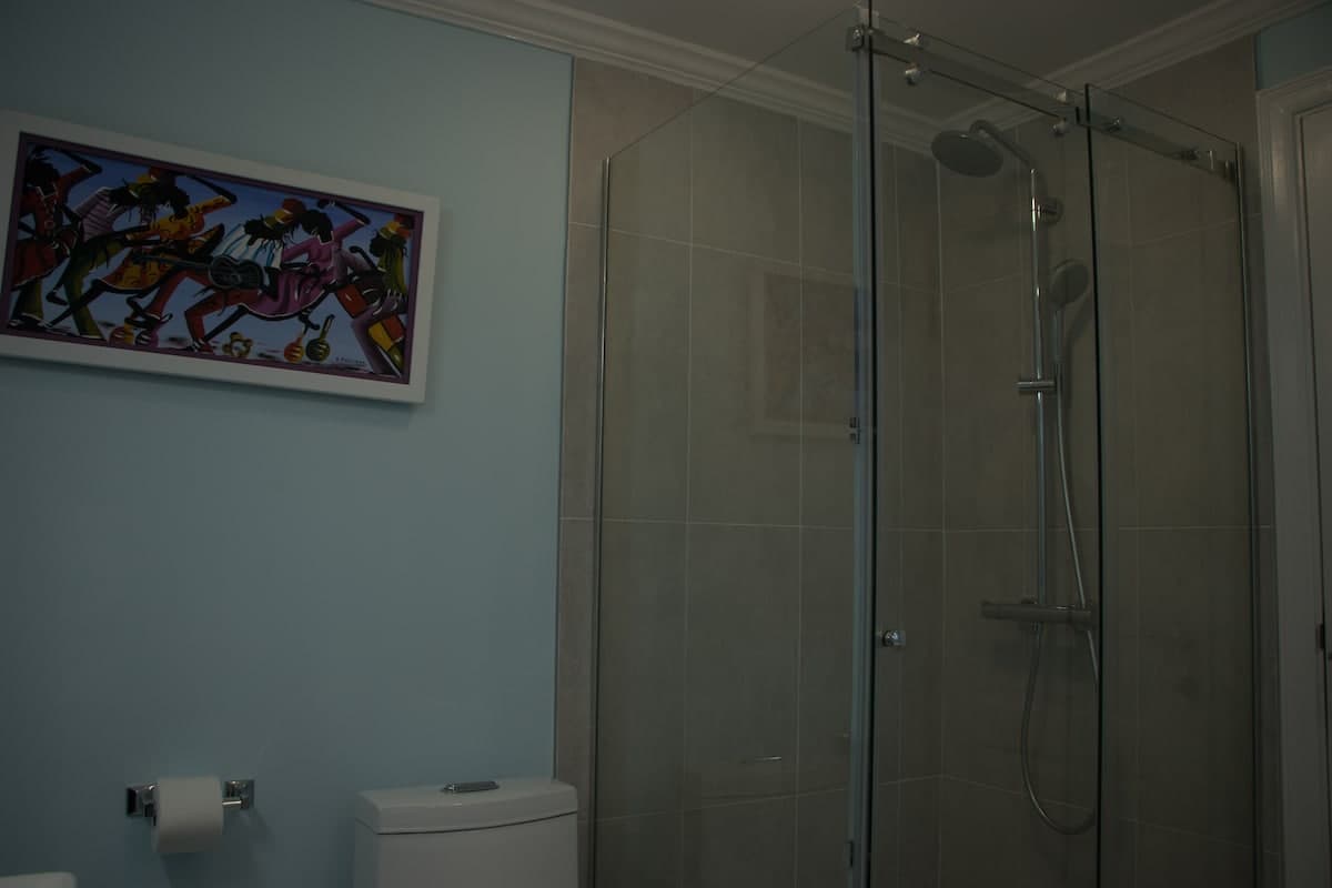 Walk-in Shower - Master Bedroom