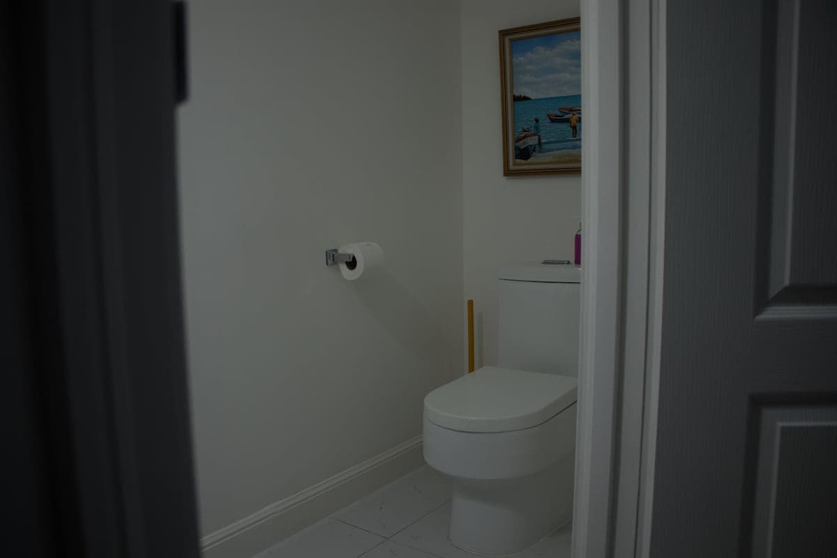 Downstsairs powder room